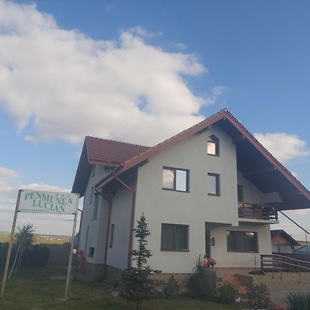 Pensiunea Lucian Baltati Dış mekan fotoğraf