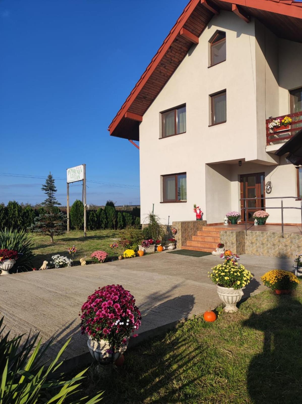 Pensiunea Lucian Baltati Dış mekan fotoğraf