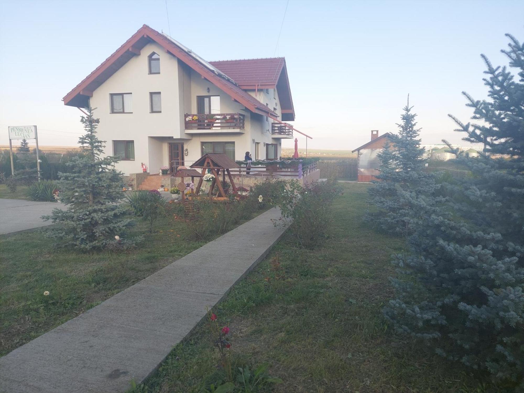 Pensiunea Lucian Baltati Dış mekan fotoğraf